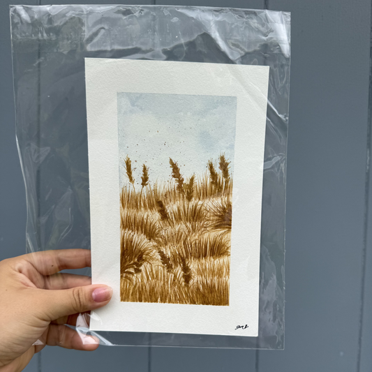 Flower Field Paintings