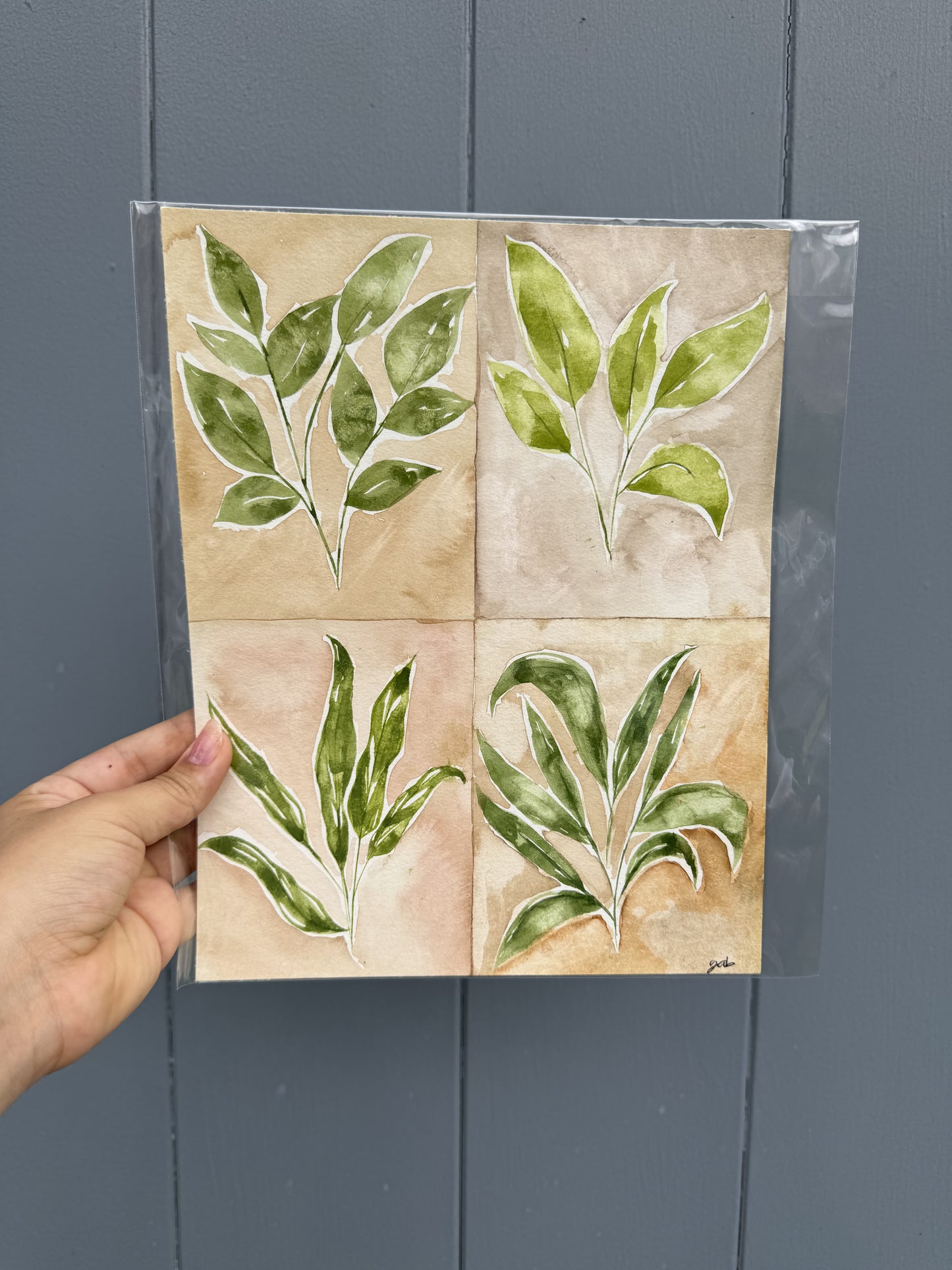 Minimalistic Plant Paintings