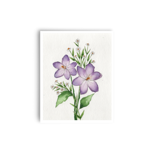Purple Crocus Print