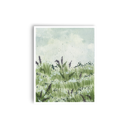 In the Field Print