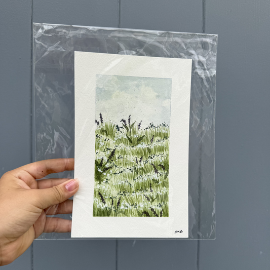 Flower Field Paintings