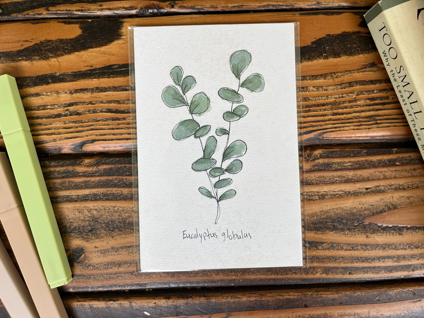 Eucalyptus & Olive Branch Painting