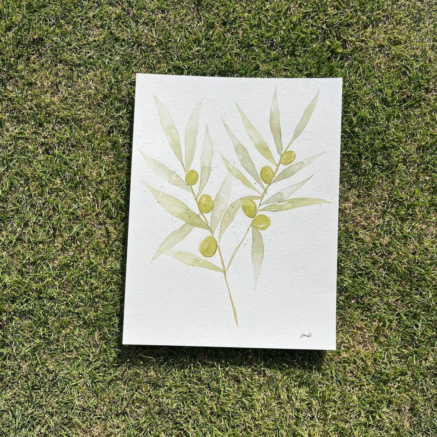 Olive Branch painting