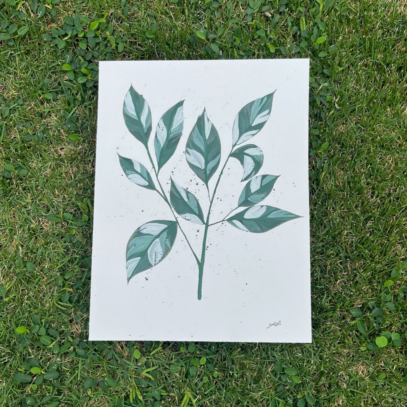 Pothos Plant painting