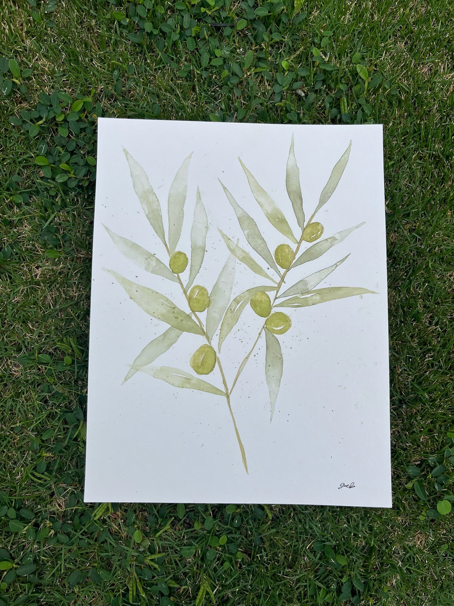 Olive Branch painting