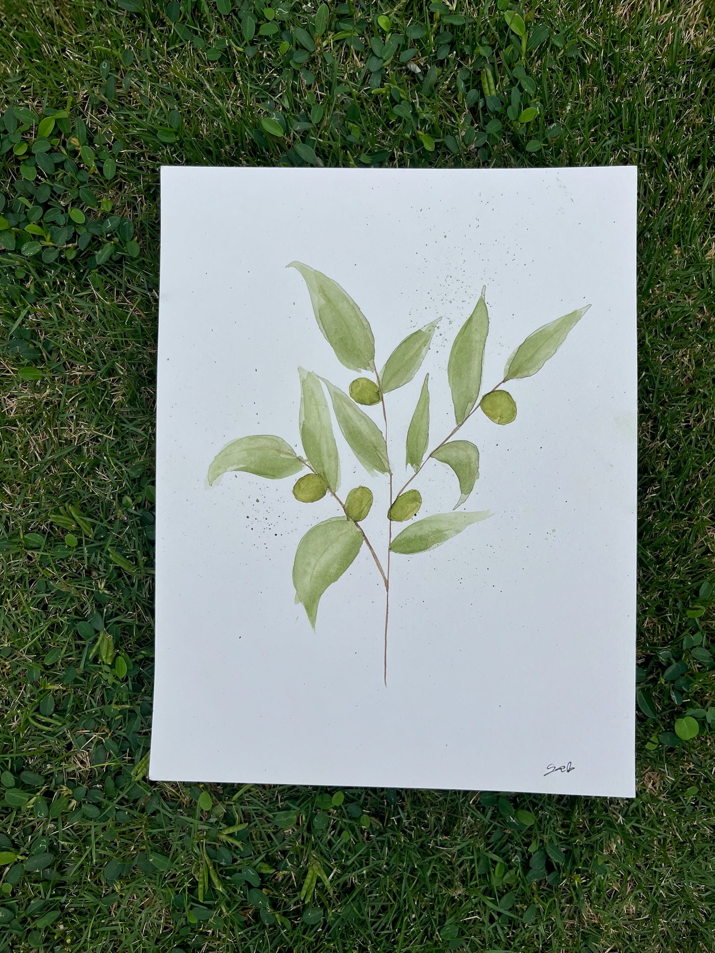 Olive Branch painting