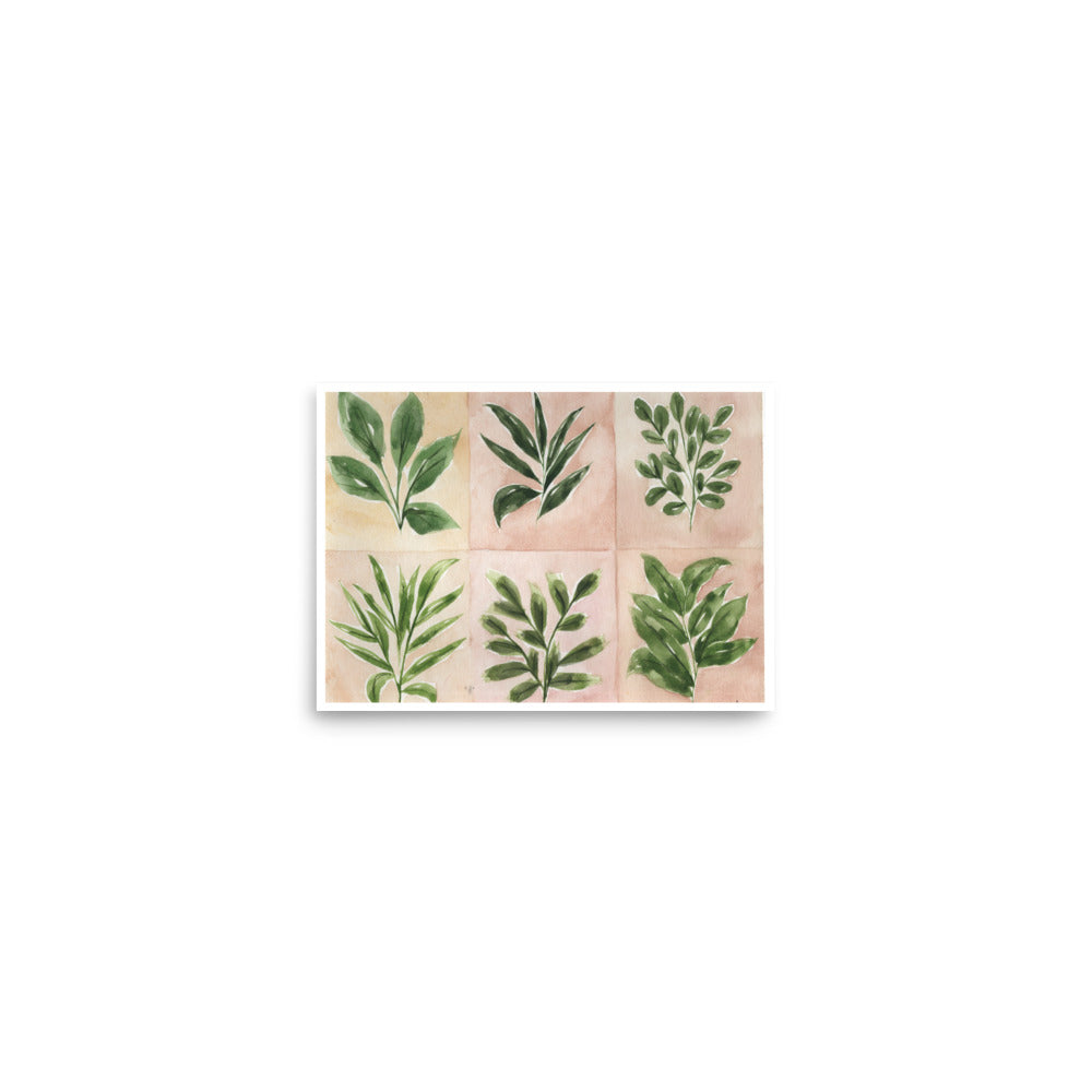 Botanical Print