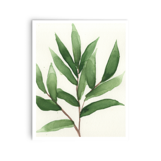 Willow Print