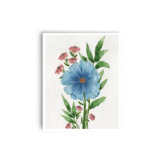 Blue Cosmos Print