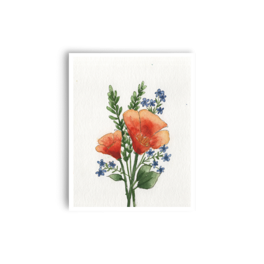 California Poppy Print