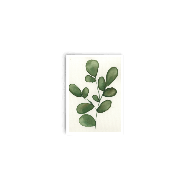 Eucalyptus Print