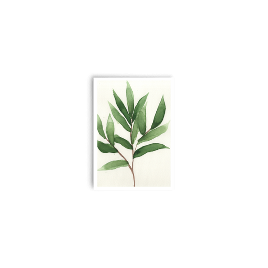 Willow Print
