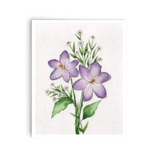 Purple Crocus Print